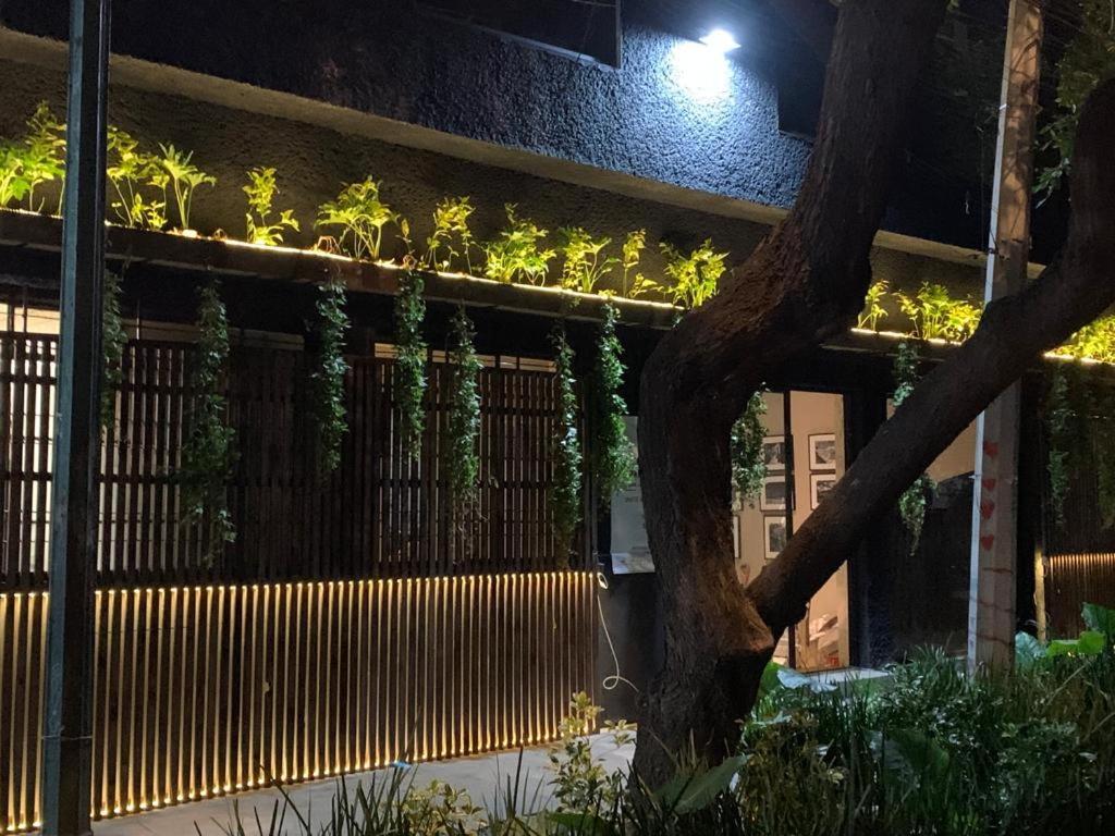 Frontera 49 Roma Norte Hostal Mexiko-Stadt Exterior foto